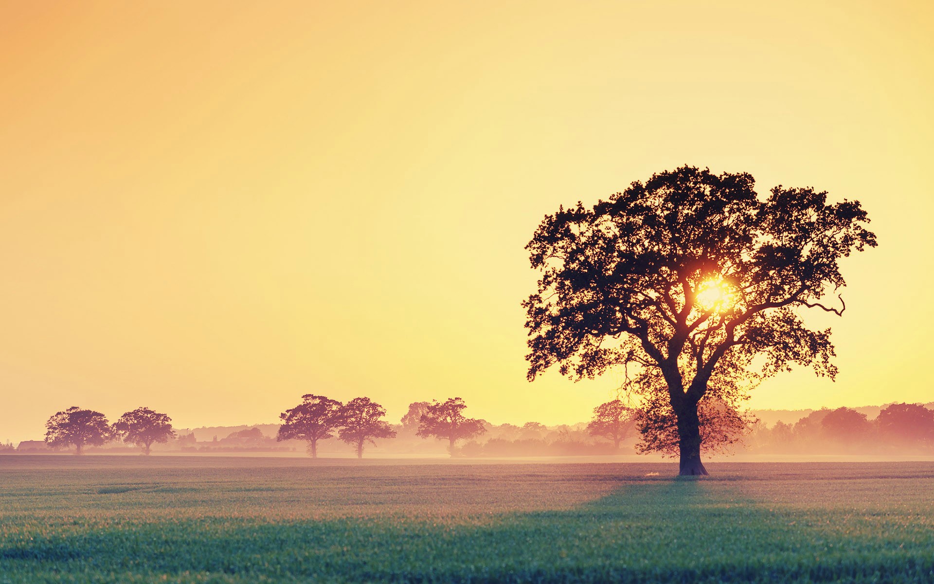 1920 x 1080 HD Wallpapers 1437